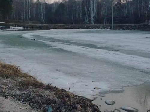 А вот и весна пришла...