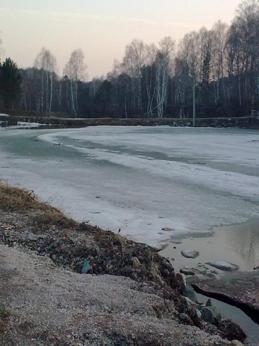 А вот и весна пришла...