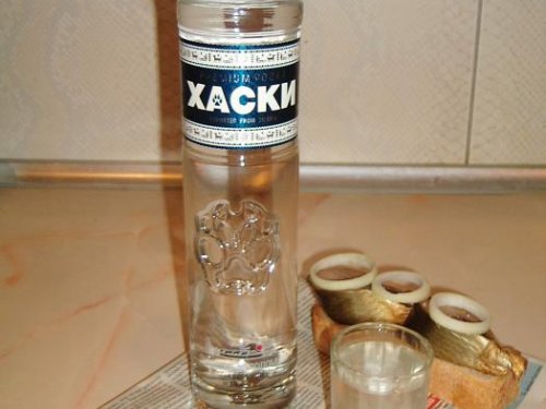 Вот она какая настоящая Промысловая Западно-Сибирская Хаски