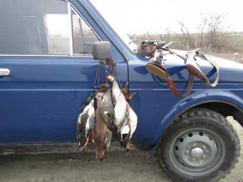 Разные