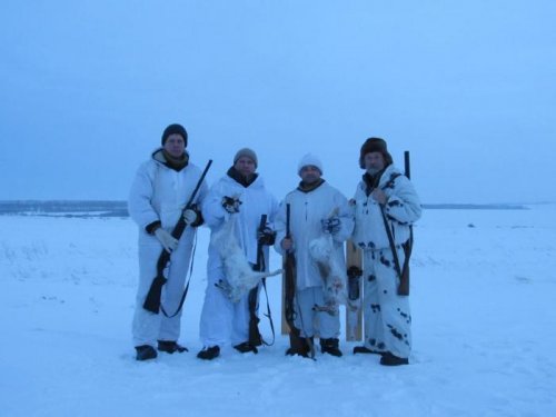 За русаком