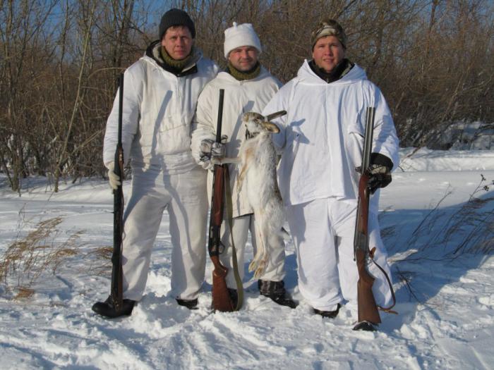 Распечатали 2013 год