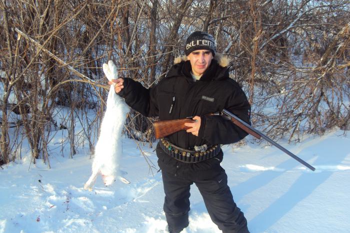 Заяц