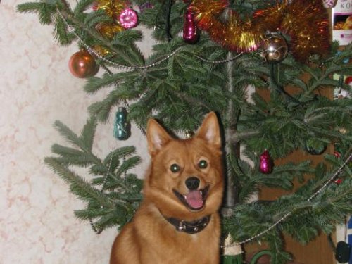 С новым годом!