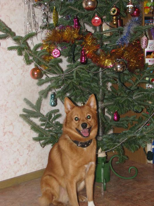 С новым годом!