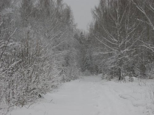 Зимняя дорожка