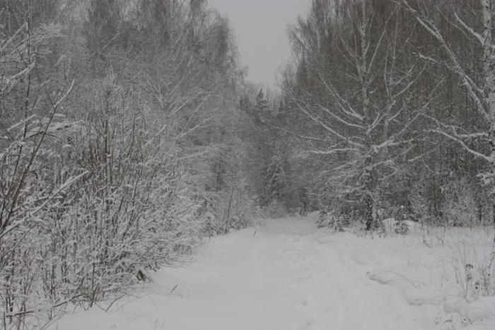 Зимняя дорожка