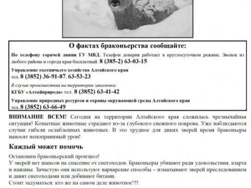 Реальность