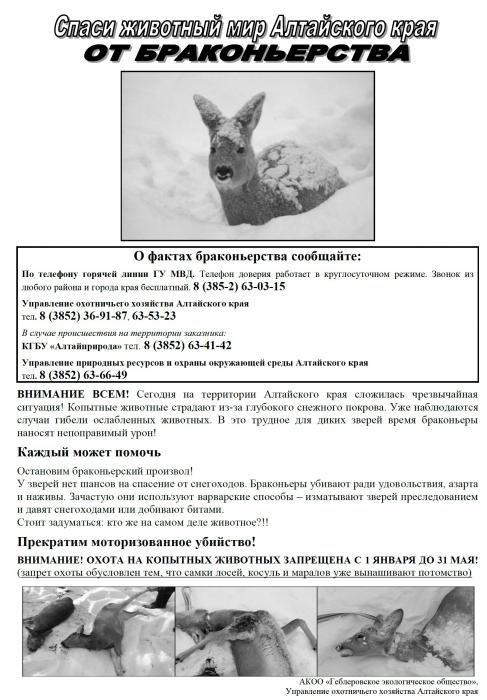 Реальность