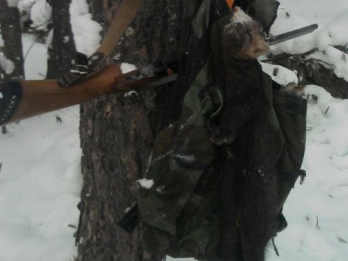  Долго он надомной издевался!