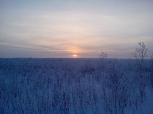 Бакчарское болото.Закат.-35С.