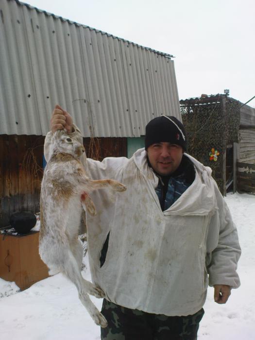 зайка