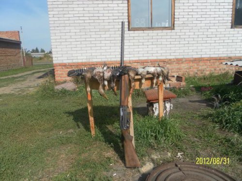 Осенью после первых дней покоя!