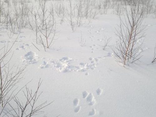 Уже заигрывают!