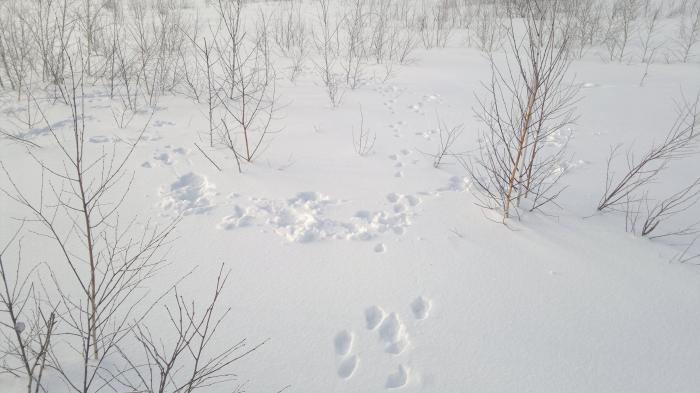 Уже заигрывают!