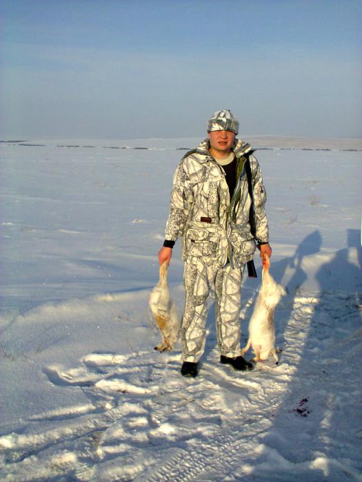 2013 год 18 января
