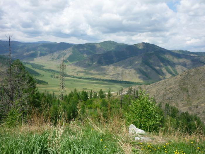 Всё красивое, прекрасно....