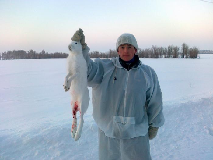 Заяц не мой, а отца. 7. 01. 13