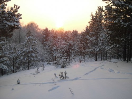козюльки лазили