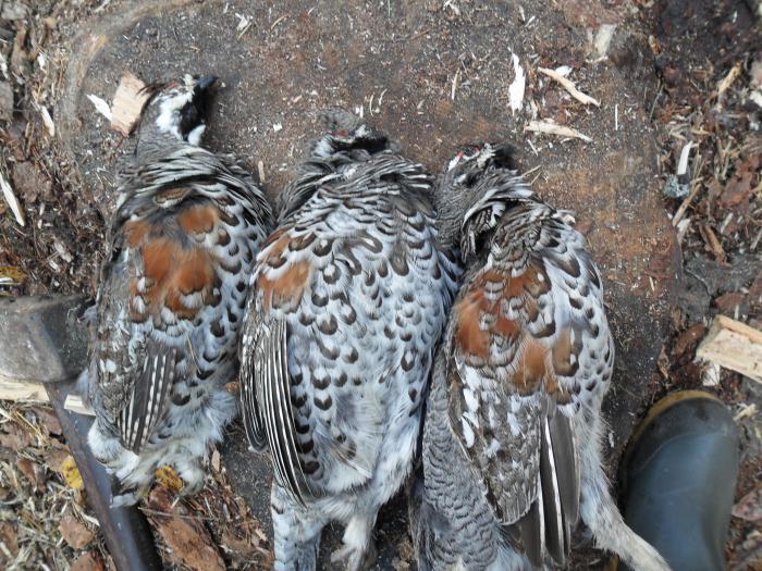 трое