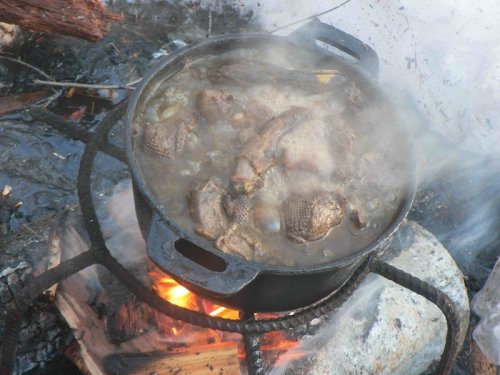 Насладимся ли нынче шурпой из гуся?