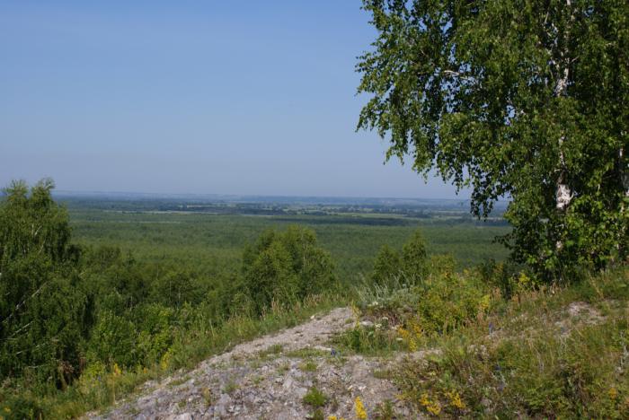 Заказник "Арга"
