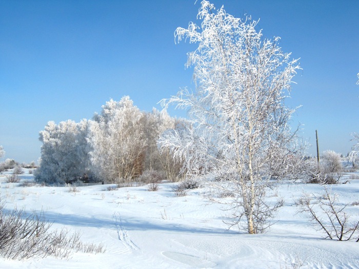 Морозное утро.