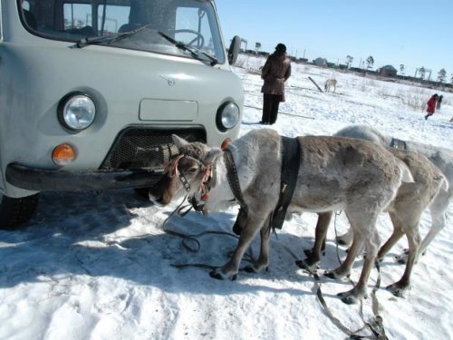 Комплект на все виды дорог