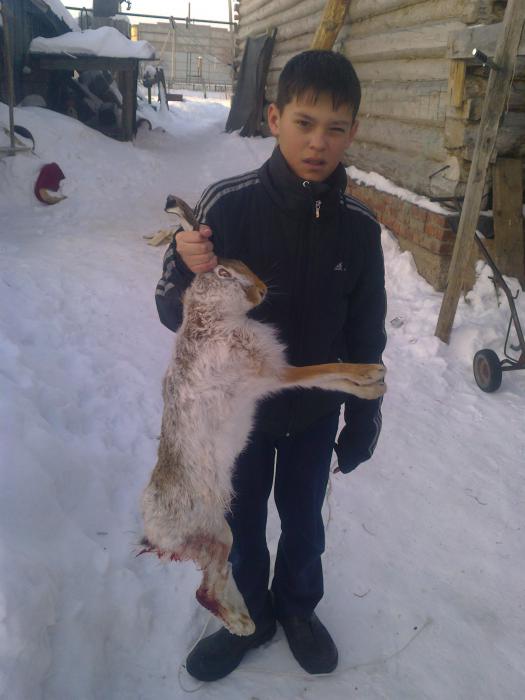 хорош зая