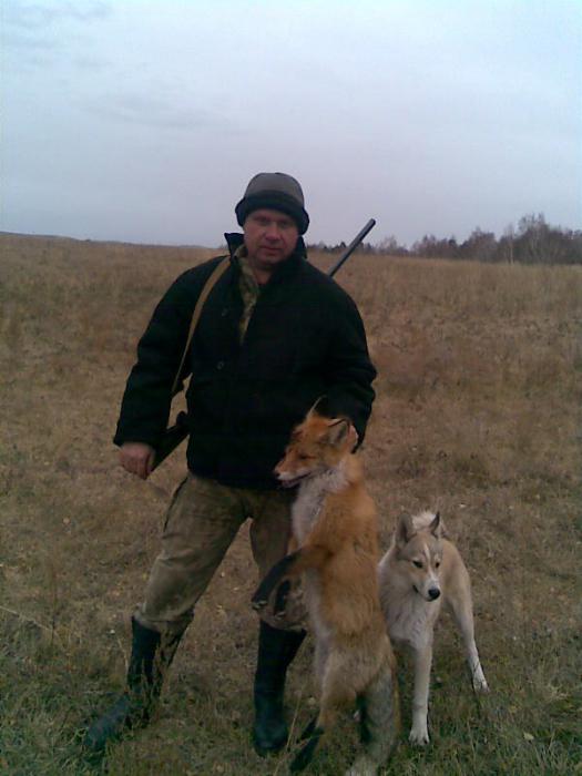 С верным помощником