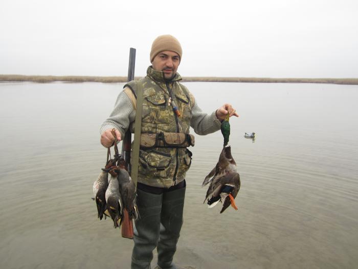 4 Teal 1 Mallard