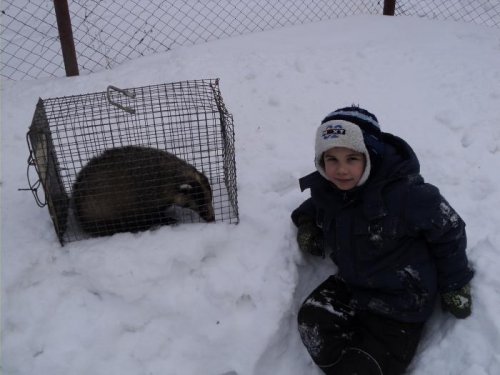 помошник папен