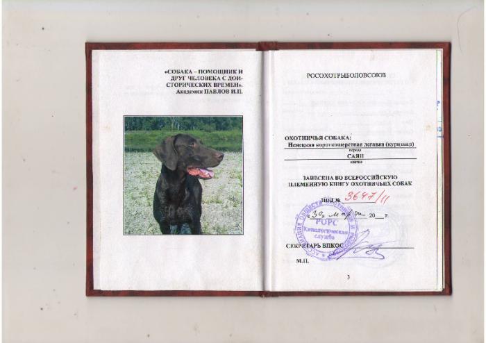 паспорт