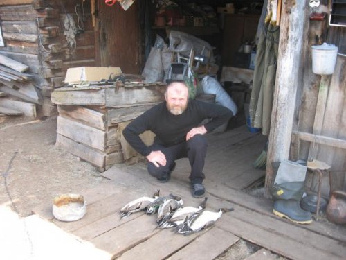 Шилы
