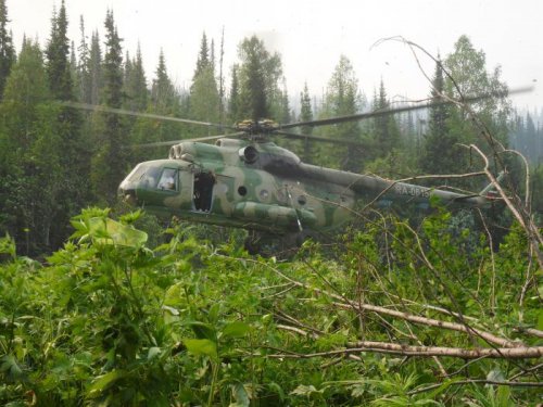 В тайгу (тушили пожар)