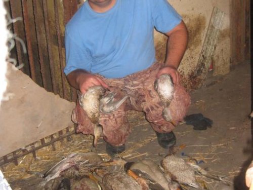 Поздняя осень НСО