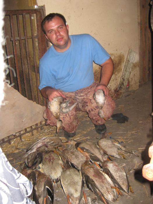 Поздняя осень НСО
