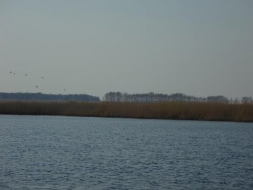 Хочу весеннюю охоту,всю прелесть в ней...