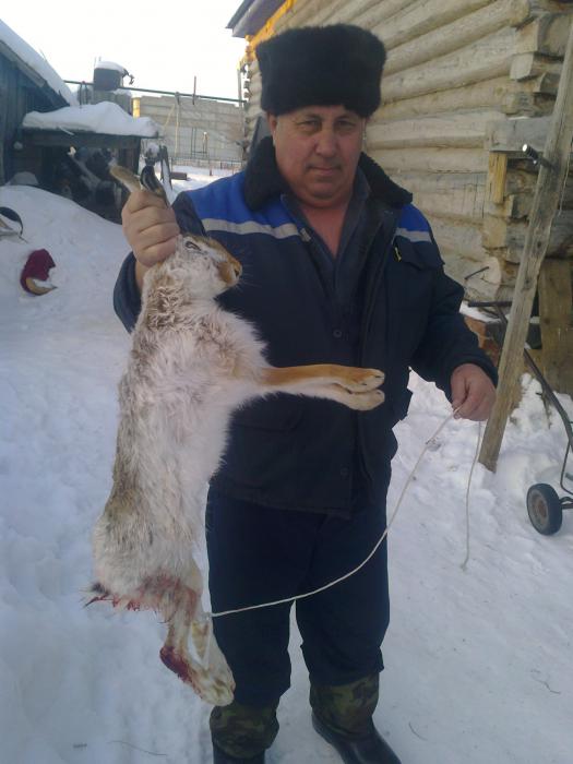 трофей