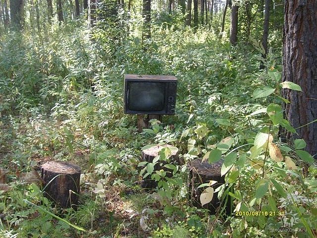 Ностальгия по лету.Лесной кинозал.