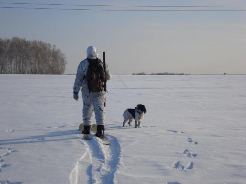 А всё так хорошо начиналось ....