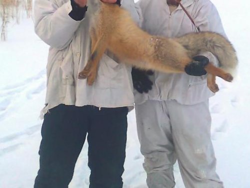 4.12.2011год