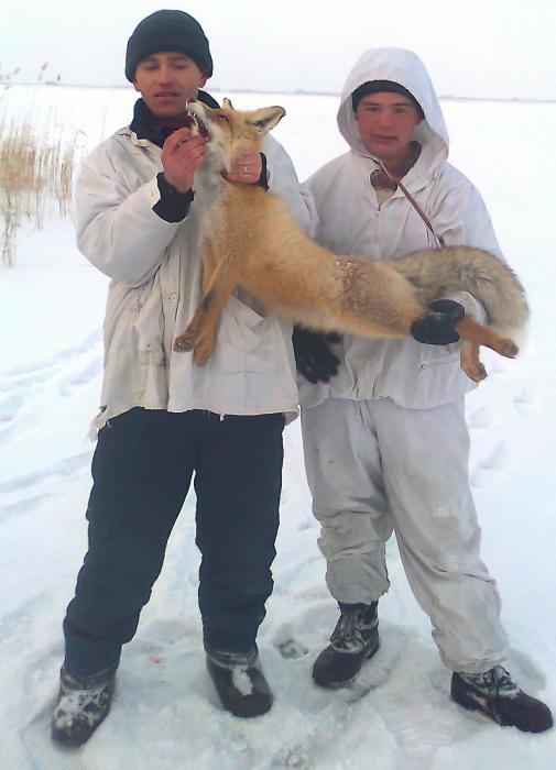 4.12.2011год