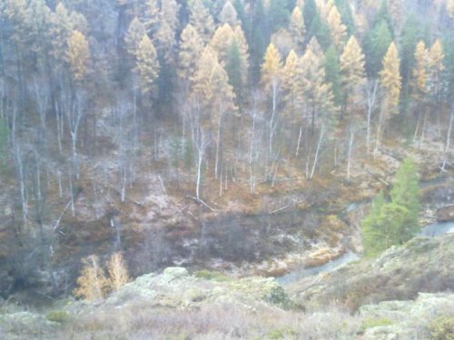 осень воспоминания