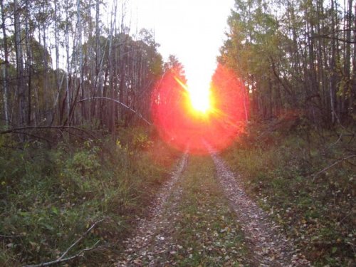 Осень. Портал в охоту
