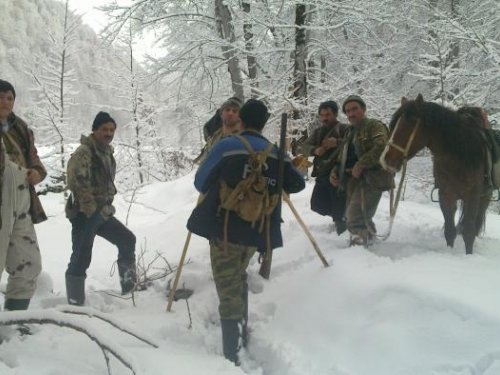 Перед охотой)