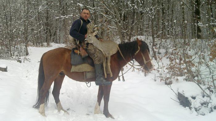 Транспортировка добычи)