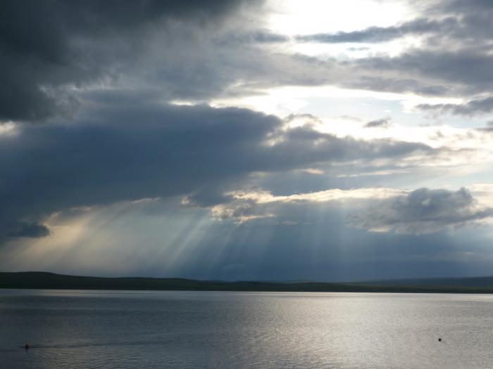 Беле