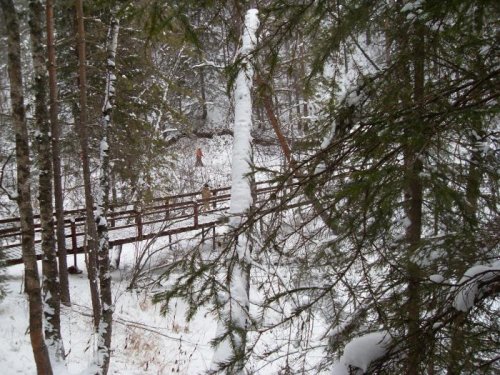 Экологическая тропа в заповеднике "Столбы"