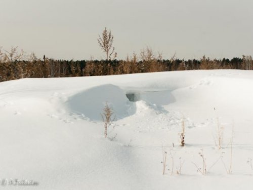 Берлога =)